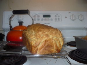 Gluten Free Bread