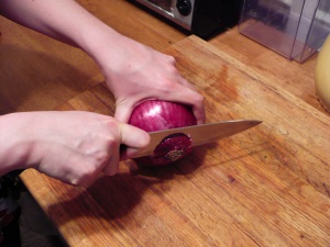 How to Dice an Onion  Cooking Basics : 4 Steps (with Pictures) -  Instructables