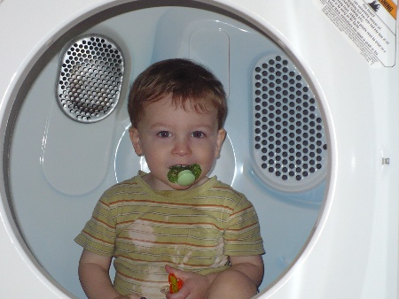 David in Dryer